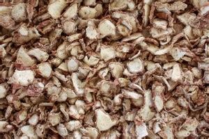 Xetomos Kapoor Kachri Ekangi Kaempferia Galanga 250gram seeds Seed ...