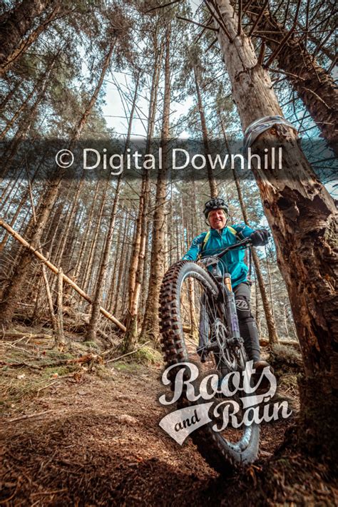 Untagged photo - Roots & Rain