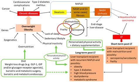 Therapeutic Physical Exercise Programs in the Context of NASH Cirrhosis ...