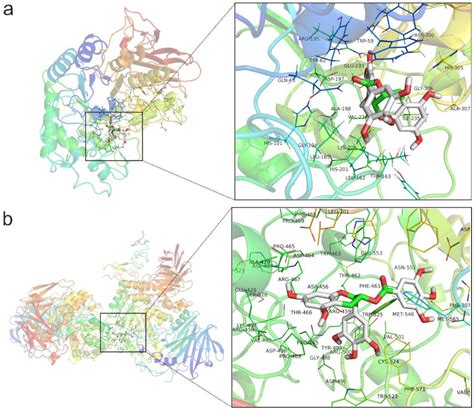Bioaccessibility and Bioavailability of (-)-Epigallocatechin Gallate in ...
