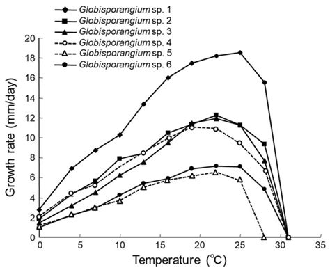 Identification and Isolation Pattern of Globisporangium spp. from a ...