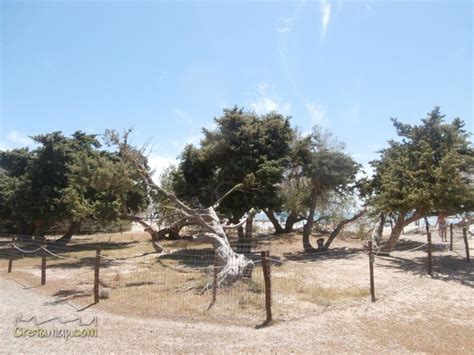 Elafonissi beach Chania Crete | Crete - Cretamap.com