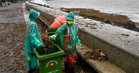 High Tide Brings 25 Tonnes Of Trash Along In Mumbai, Workers Clear ...