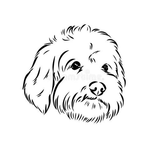Image result for Cockapoo Dog Single Line Drawing