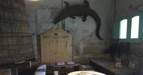 La Guàrdia Civil confisca un cocodril que decorava un restaurant de ...