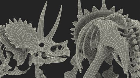 Triceratops Horridus Skeleton 3D model | 3D Molier International