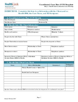 Fillable Online Coordinated Care Plan (CCP) Template Fax Email Print ...