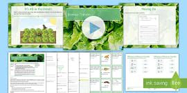 Biomass Transfer Worksheet | GCSE Ecology | Beyond - Twinkl