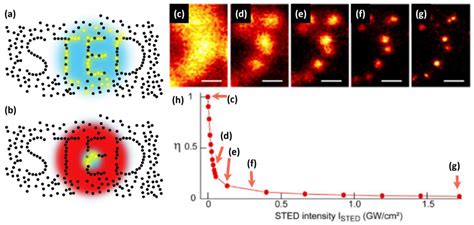 Pushing the Resolution Limit of Stimulated Emission Depletion Optical Nanoscopy