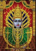 S-28 300x450 mm Glossy Finish Highlighter Vitrified Wall Tile | S-28 ...