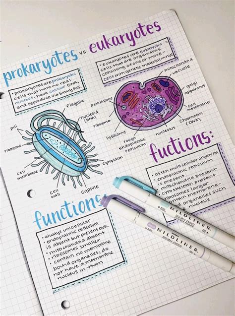 Pin by Adriana Simini on laurea | Biology notes, Nurse study notes ...