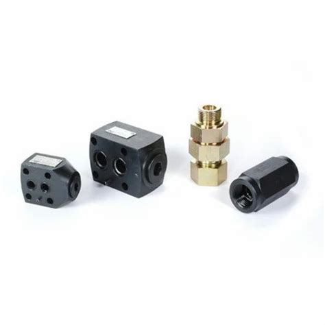 Hydraulic Valve - Hydraulic Inline Check Valves Manufacturer from Ahmedabad