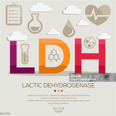 Ldh Lactic Dehydrogenase Stock Illustration - Download Image Now - Acid ...