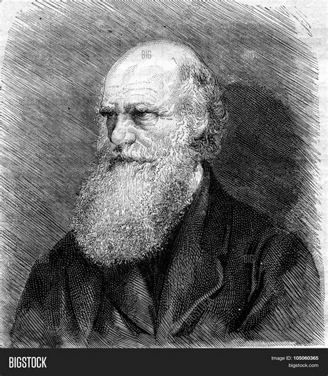 Charles Darwin Died Image & Photo (Free Trial) | Bigstock