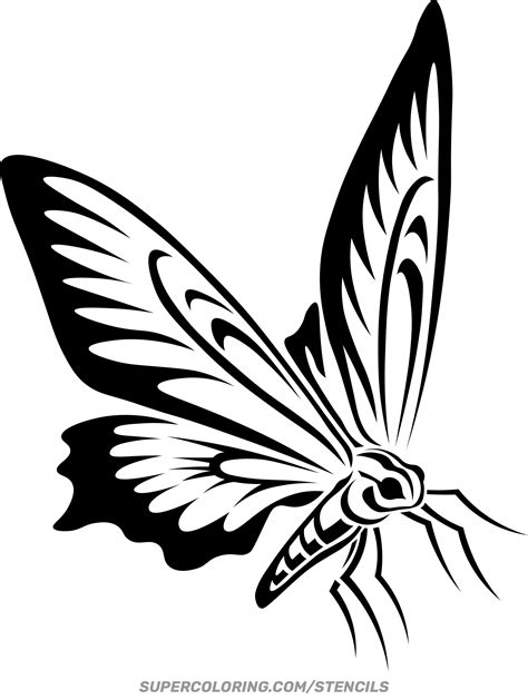 Flying Butterfly Stencil Butterfly Silhouettes. Cute Butterfly