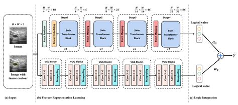 An Interpretable Breast Ultrasound Image Classification Algorithm Based ...