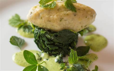 Rezepte für den Dampfgarer - Servus