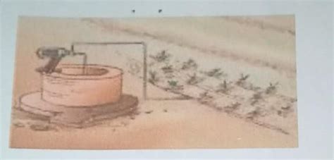 What does the following picture represent? - Brainly.in