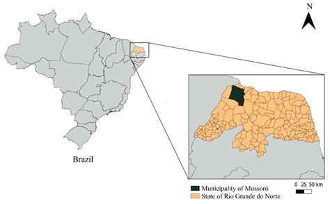 Coinfection with Leishmania infantum and Toxoplasma gondii in Domestic ...