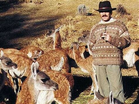 GuenGuel: The Soft Secret of Patagonia | Meer