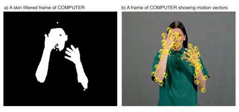 Image result for Appearance Descriptor in Tracking Algorithm