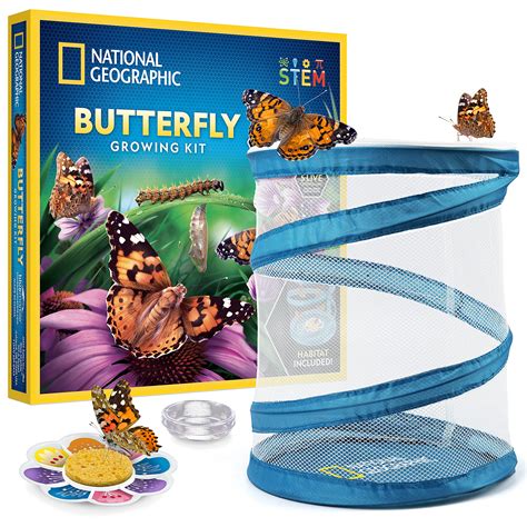 NATIONAL GEOGRAPHIC Butterfly Growing Kit - Butterfly Habitat Kit with ...