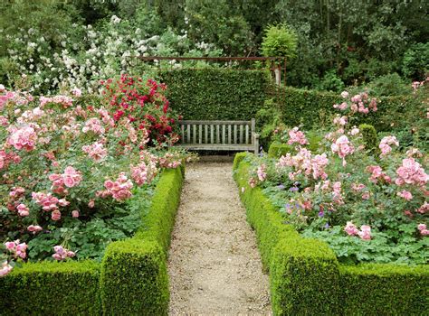 20 Small Rose Garden Design Plans Ideas To Try This Year | SharonSable