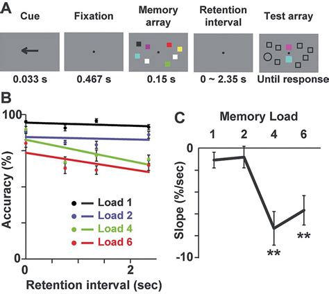 Behavior Experiment 的图像结果
