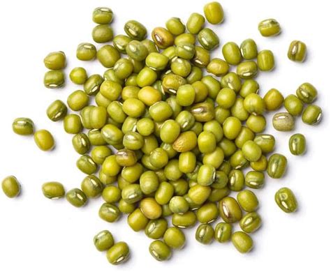Mung Bean Seeds for Planting - Grow Healthy Mung Beans - Moong Beans ...