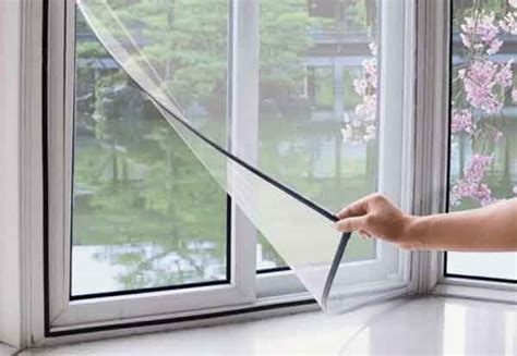 Insect Screen 的图像结果