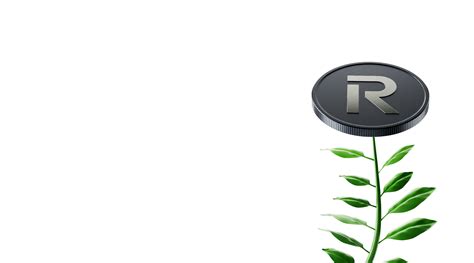 Dominican Money Exchange Rate