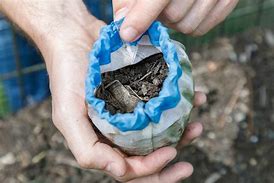 biodegradable 的图像结果