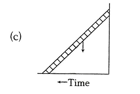 A ladder is leaned against a smooth wall and it is allowed to slip on a ...