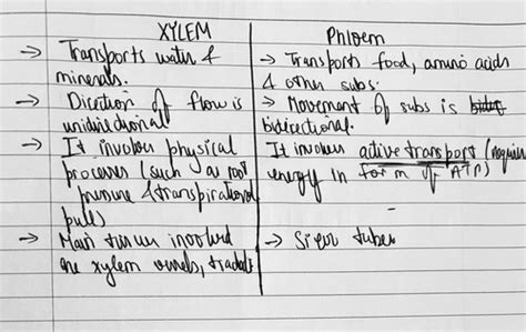 Life Processes [Transportation in Plants] Flashcards | Quizlet