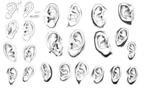 Image result for Ear Drawing Tutorial