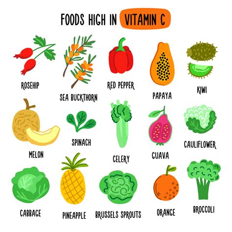 Flat vector illustration depicting foods high in vitamin C. Source of ...