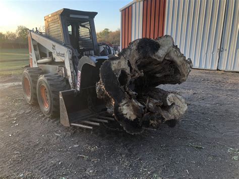 Image result for Tree Logging Service