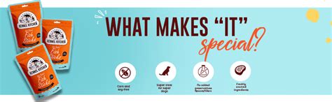 Buy Kennel Kitchen Soft Baked Fish Sticks Treats for Dogs, 70g (Pack of ...