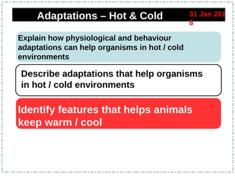 Adaptations KS3 的图像结果