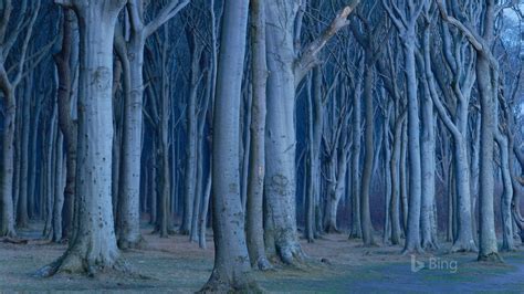 Bing Wallpaper Germany 的图像结果