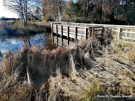 The History of Richmond, British Columbia, Canada - Photo By Thanasis ...