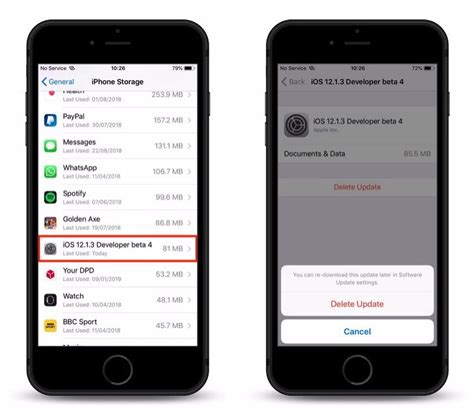 Image result for Remove Apple Update