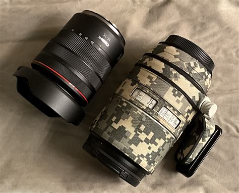 Review of the Canon 70-200 RF F/2.8 - A Stunner for Wildlife ...