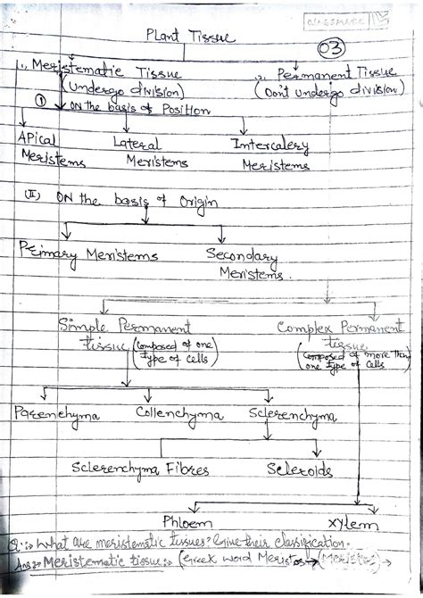 Image result for Tissues Class 9 Notes Byjus