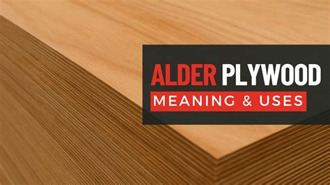 What Is BCX Plywood — Meaning, Benefits & Uses | Berta Store