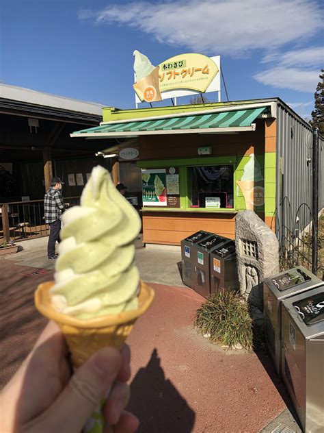 Wasabi bowl and wasabi soft-serve ice cream at Daio Wasabi Farm : r ...