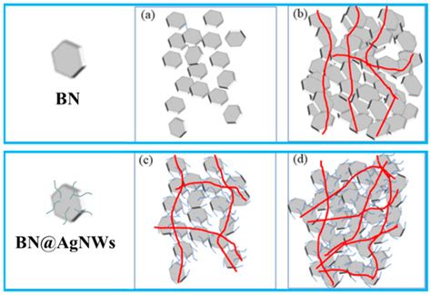 Enhanced the Thermal Conductivity of Polydimethylsiloxane via a Three ...