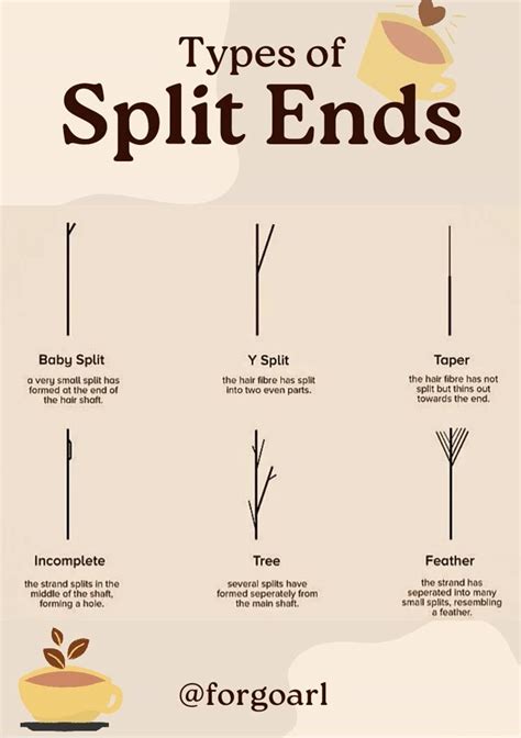 Image result for Split-Ends Explained