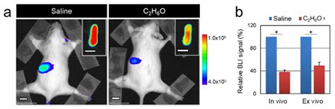 Reduction of Cell Proliferation by Acute C2H6O Exposure