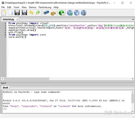 PsychoPy Python 的图像结果